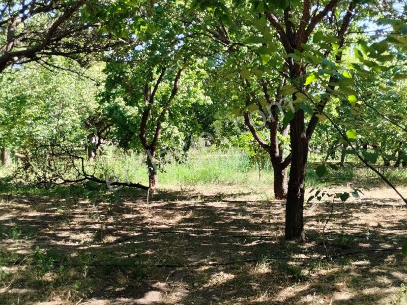 BAHÇELİ'DE 10 DÖNÜM ARAZİ ÜZERİNDE, MEYVE BAHÇELİ MÜSTAKİL ÇİFTLİK EVİ