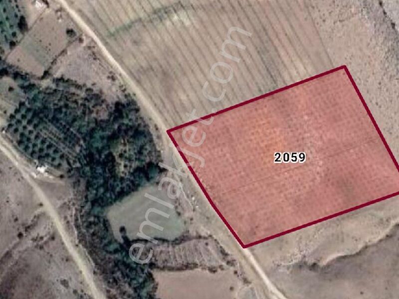 BOR GÖKBEZ'DE, TARLA FİYATINA, VERİME BAŞLAMIŞ 21.5 DÖNÜM ACİL SATILIK BADEM BAHÇESİ