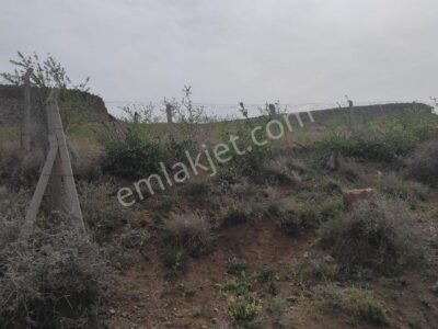 BOR GÖKBEZ'DE, TARLA FİYATINA, VERİME BAŞLAMIŞ 21.5 DÖNÜM ACİL SATILIK BADEM BAHÇESİ