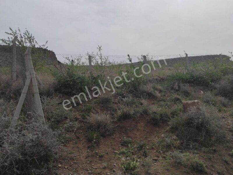 BOR GÖKBEZ'DE, TARLA FİYATINA, VERİME BAŞLAMIŞ 21.5 DÖNÜM ACİL SATILIK BADEM BAHÇESİ