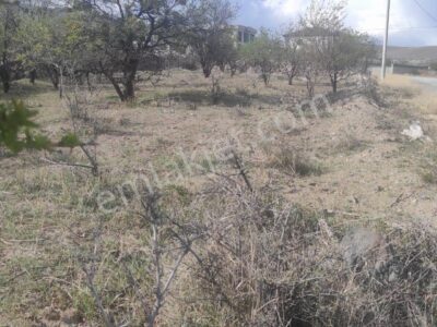 İĞDE'NİN GÖZDE BÖLGESİ FERTEK'TE, ÜNİVERSİTE KARŞISI, KÖŞE PARSEL VİLLALIK ARSA