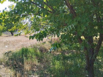 BAHÇELİ'DE 10 DÖNÜM ARAZİ ÜZERİNDE, MEYVE BAHÇELİ MÜSTAKİL ÇİFTLİK EVİ