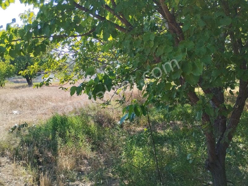 BAHÇELİ'DE 10 DÖNÜM ARAZİ ÜZERİNDE, MEYVE BAHÇELİ MÜSTAKİL ÇİFTLİK EVİ