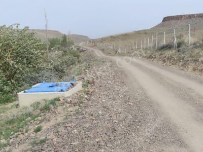 BOR GÖKBEZ'DE, TARLA FİYATINA, VERİME BAŞLAMIŞ 21.5 DÖNÜM ACİL SATILIK BADEM BAHÇESİ