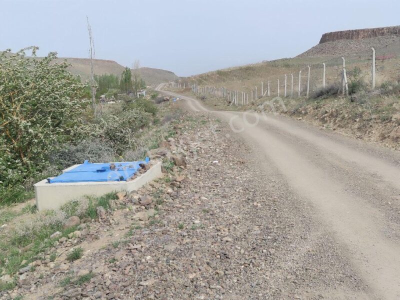 BOR GÖKBEZ'DE, TARLA FİYATINA, VERİME BAŞLAMIŞ 21.5 DÖNÜM ACİL SATILIK BADEM BAHÇESİ
