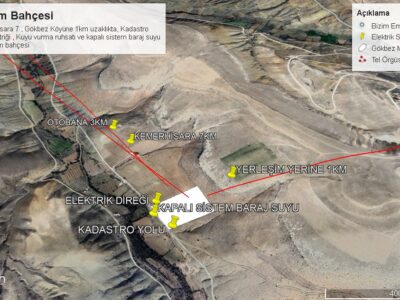 BOR GÖKBEZ'DE, TARLA FİYATINA, VERİME BAŞLAMIŞ 21.5 DÖNÜM ACİL SATILIK BADEM BAHÇESİ